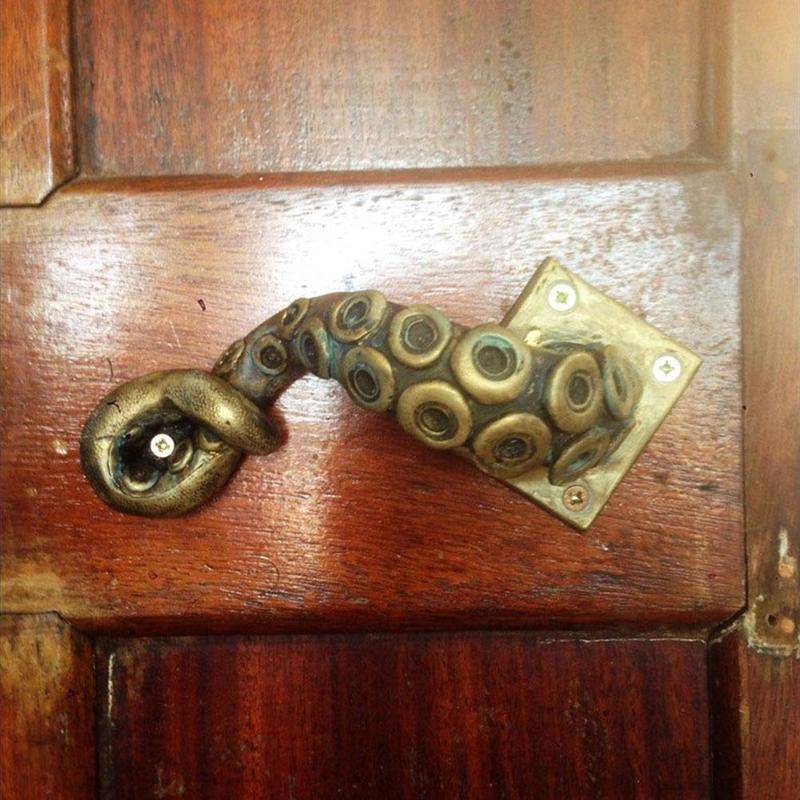 خمر الأخطبوط مقبض الباب الحيوا - مراجعة Furniture Hardware Knobs وسعره
